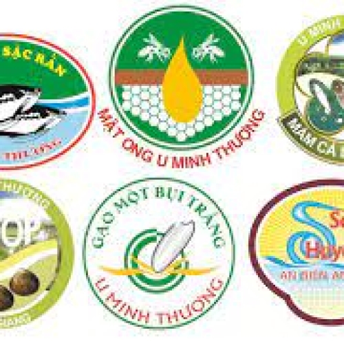 HƯỚNG DẪN ĐĂNG KÝ NHÃN HIỆU TẬP THỂ NĂM 2024