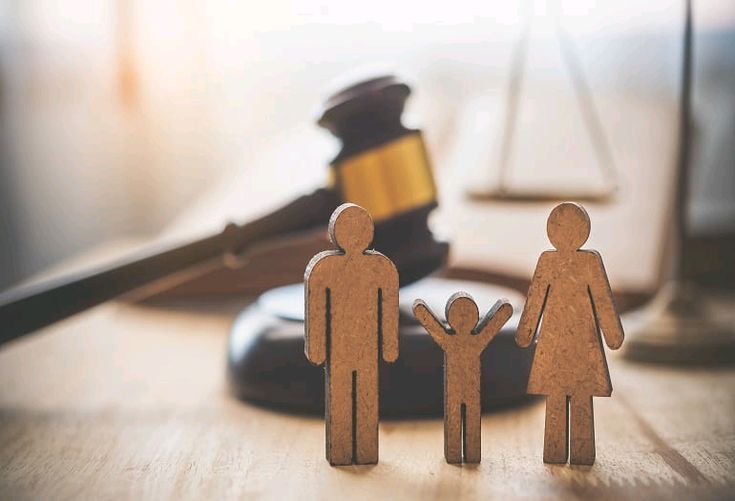 CONSULTATION ON CHILD CUSTODY AND ALIMONY IN UNILATERAL DIVORCE