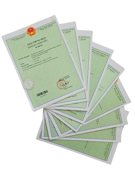 tranh chấp quyền sở hữu trí tuệ